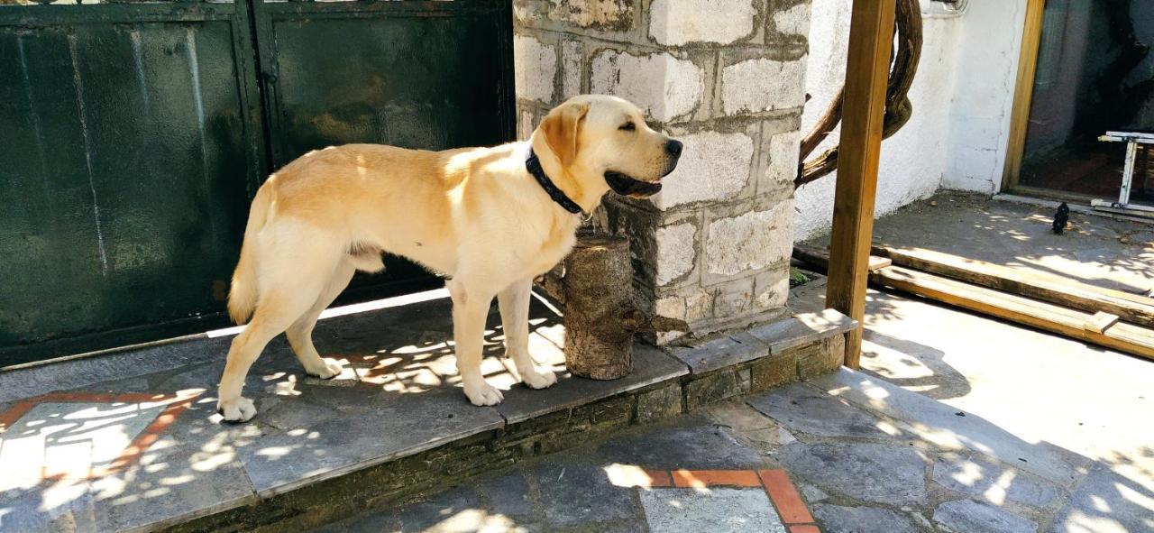 Archontiko Kantartzi Portariá Dış mekan fotoğraf